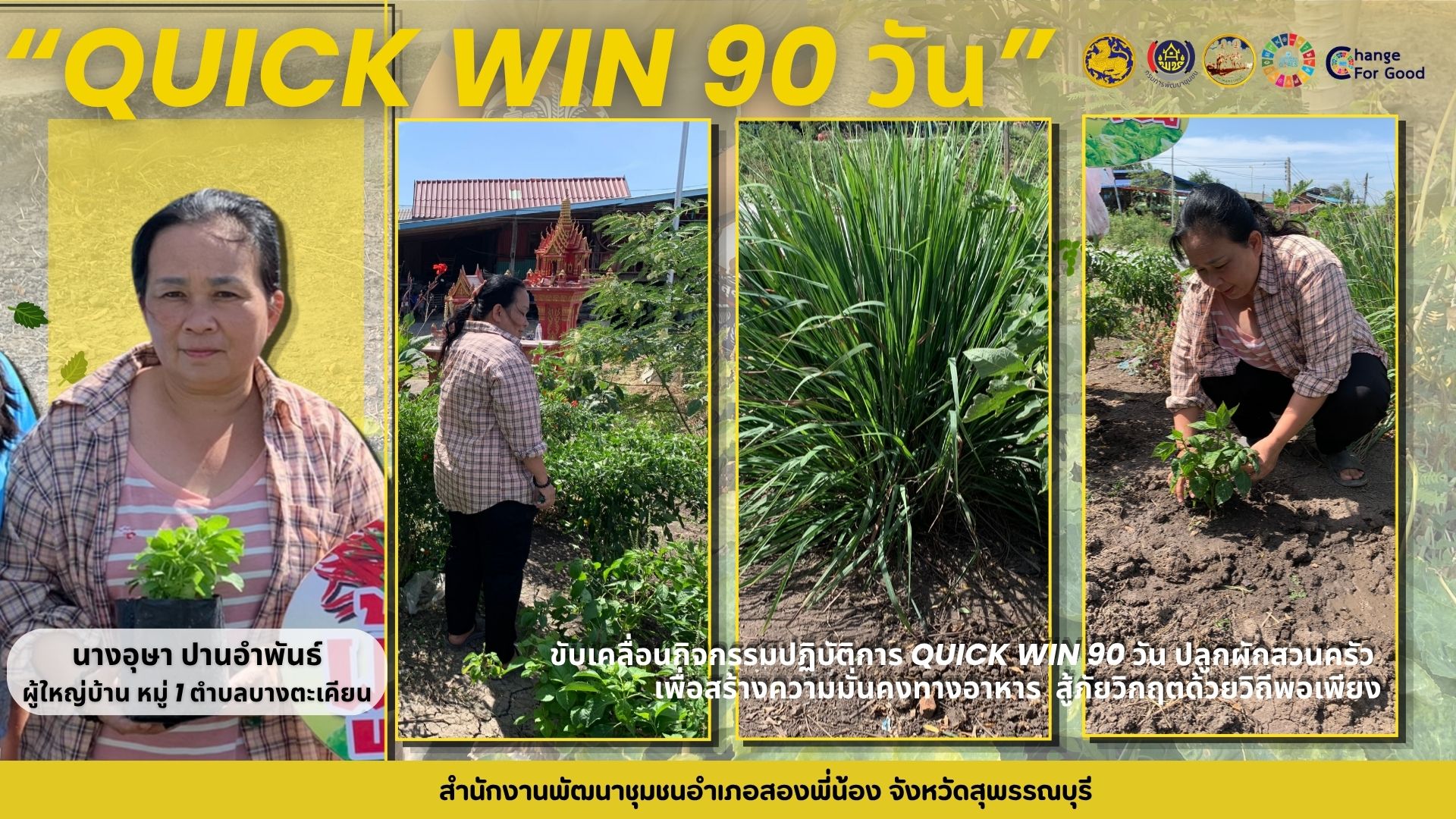 🌻 ปฏิบัติการ “Quick Win 90 วัน ปลูกผักสวนครัวเพื่อสร้างความมั่นคงทางอาหาร สู้ภัยวิกฤตด้วยวิถีพอเพียง”🌻