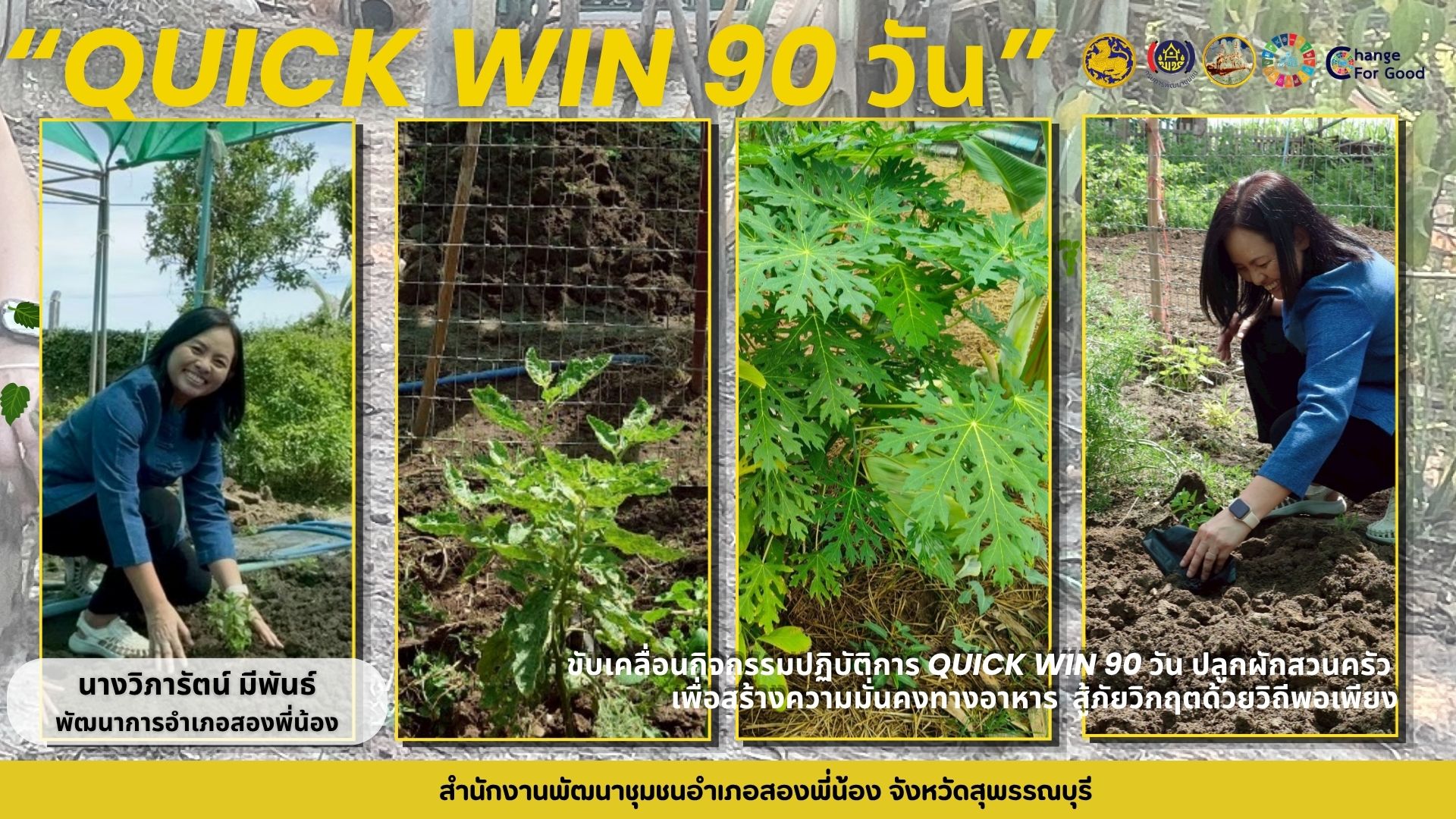 พช.อำเภอสองพี่น้อง ปฏิบัติการ “Quick Win 90 วัน ปลูกผักสวนครัวเพื่อสร้างความมั่นคงทางอาหาร สู้ภัยวิกฤตด้วยวิถีพอเพียง”